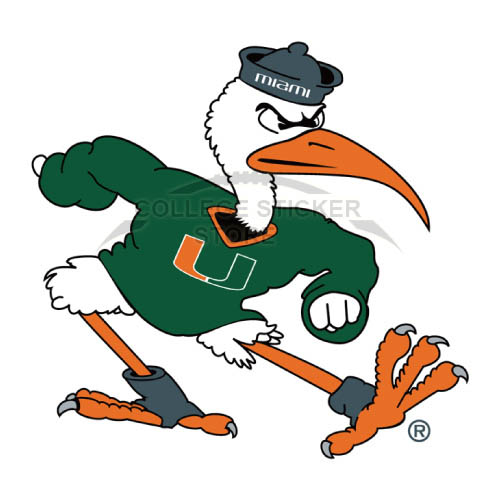 Personal Miami Hurricanes Iron-on Transfers (Wall Stickers)NO.5041